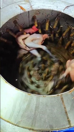 Easiest and Fastest way to remove Chicken Feather 👀