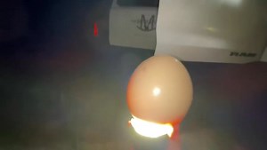 This moment was so special! | Ima Survivor Donkey and Farm Animal Sanctuary