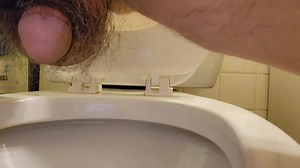 Early morning poop and pee