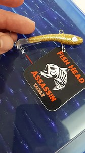1.6K views | Disco Gold  FHA PUMP N THUMP MINNOW #fishheadassassin #tackle | Fish Head Assassin | Facebook