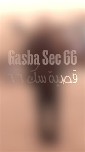 Gasba sec 66 | Danses et chants populaires algériens
