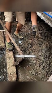 While cleaning mud from a drain, this man heard the faint cries of a baby animal. He gently lifted it out, washed off the mud, dried it with a cloth, and even used a hair dryer to warm it up. It turned out to be a beautiful baby rabbit that had likely been stuck for a long time. He brought it home, where his wife lovingly took care of it. Day by day, the little rabbit grew healthier—and even more beautiful. A true story of kindness and compassion. ❤️ Like and follow if you love animals 🐾 #anima