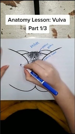 Anatomy Lesson: Vulva Part 1/3 #DrYael
