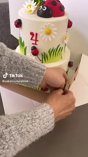 Cómo hacer una caja de pastel alta con plástico