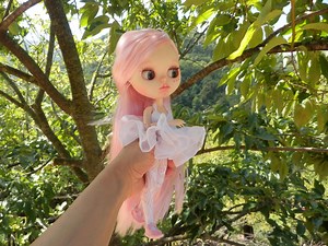 Blythe Doll Art Collection - Etsy