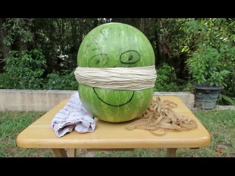 EXTREME EXPLODING WATERMELON WITH RUBBER BANDS