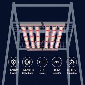 [Hot Item] Small Octopus Plant Growing Light