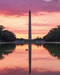 Book your Big Bus Tour to see Washington this winter! Save 10% when you book online. | Big Bus Tours