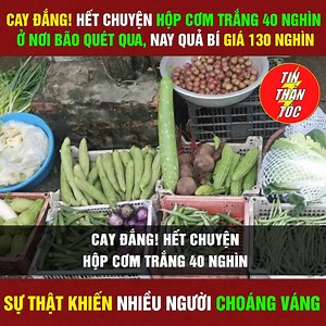 427K views · 3.2K reactions | Cay đắng! Hết chuyện hộp cơm trắng 40 nghìn ở nơi bão quét qua, nay quả bí giá 130 nghìn, sự thật khiến nhiều người choáng váng. | Tin Thần Tốc | Facebook