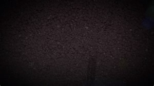 Amanda Busick had the chance to catch up with Dave Schroeder for eBayMotors powers HOT ROD Drag Week 2021! Watch them race on our livestream replay here ➡️ https://bit.ly/3u7LsCd Also check out the rest of our #HOTRODDragWeek2021 coverage here ➡️ https://bit.ly/2ZyPGrr | Hot Rod Magazine