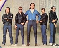 Long Tall Ernie & The Shakers - Big fat mama lyrics