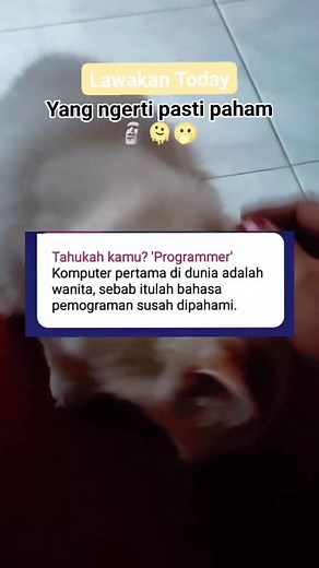 Iyaaa kaann.. 🗿🫢 #reels #lucu #fyp #hiburan #pemula #komedi #lawak #Obay #woman | Frezy Paputungan