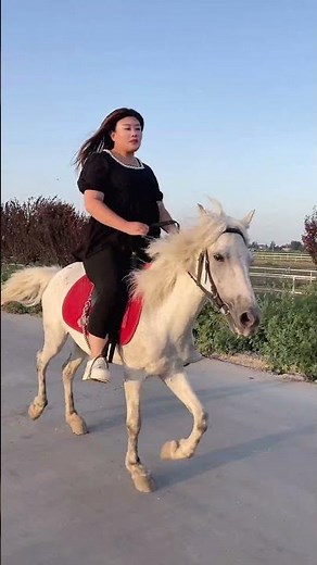 Fat Woman Can Ride a Horse
