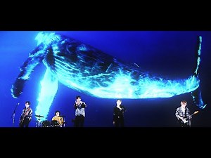 N.Flyingの「Amnesia」は人生の讃歌だ。