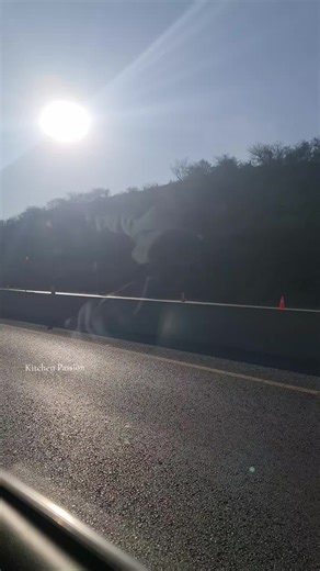 صلی اللہ علیہ وسلم