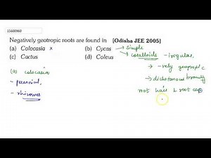 Negatively geotropic roots are found in