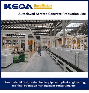 [Hot Item] Advanced AAC Block/ Panel Making Machine, Customized AAC Machinery