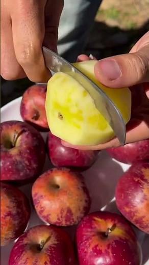 Live stream specials! Ugly apples are!! #SweetApples #UglyApples #SugarFleshApples #DirectFromOrigin