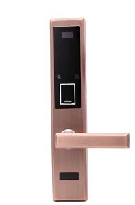 [Hot Item] Electronic Outdoor Fingerprint Main Sliding Gate Locks with Voice