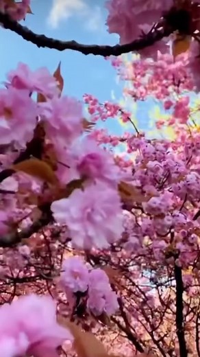 Maria liman on Instagram: "Heaven on Earth 💗"