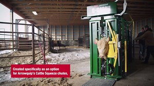 No cows going down here. #propercattlehandling #cattlechute | Arrowquip