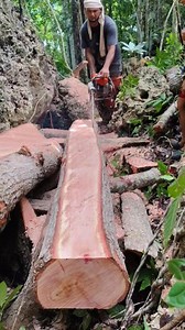 86K views · 1K reactions | walop sa mahogany #woodworking | Papz Lumber | Facebook