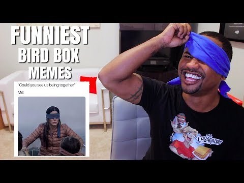 TOP 40 Funniest Bird Box Memes On The Internet | Alonzo Lerone
