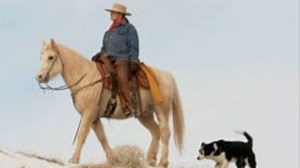 Watch Mankind Decoded Season 1 Episode 9 - Man and Beast