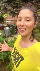 Suggestions please 👇 Need your top marrow recipes #courgette #marrow #vegpatch #nodig #nodiggarden | Jasmine Hemsley - wellbeing author and cook