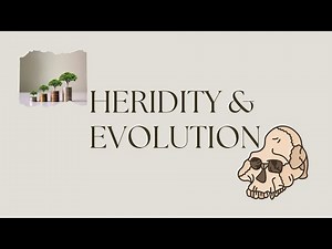 Heredity & Evolution class 10 science chapter notes & explanation