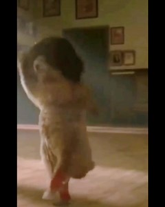 41K views · 1.9K reactions | Boa noite pessoal  só no embalo | Lu Silvestre - Parada Musical | Facebook