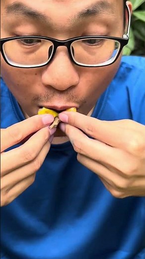 Ever Tried This Fruit? Loquat Picking in Action! 🍊#Loquat #FruitPicking #FreshFruit #FruitLovers