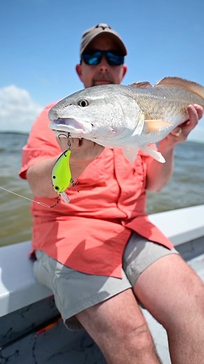 Down in redfish country with @skinneroutdoors #BillLewisFishing | Bill Lewis Fishing