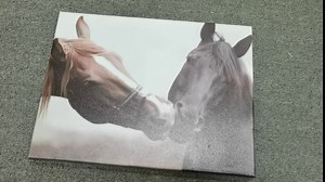 yellow Romantic Couples Horse Canvas Wall Art Artwork For Bedroom Decor for Sweet Coulple Love Print Animal Artwork(Horse couple, 12x16inch)