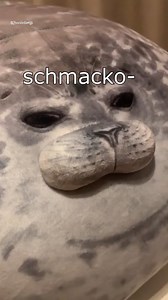 6.2M views · 6.7K reactions | Die Dawgs bleiben fett 2homiedawgs - "Schmackofatz" auf Spotify! #lustig #witzig #funny #tiere #animals #meme #lachen #happy #2homiedawgs | 2homiedawgs | Facebook