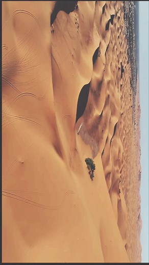 Riding biggest dunes of the world in #merzouga #morocco with the latest #canam #maverick R xrs smart shox preparing for #rally #maverickx3 #maverickR #desert #dune