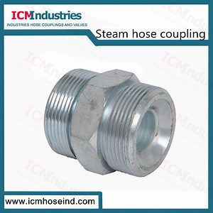[Hot Item] Double Spud Steam Hose Coupling