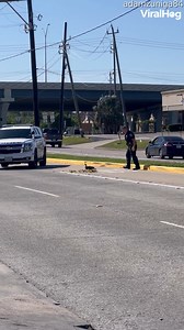 251K views · 6.2K reactions | A Texas police officer stops traffic to escort a duck family across the road. 閭 #viralhog #texas #ducks #cute | ViralHog | Facebook