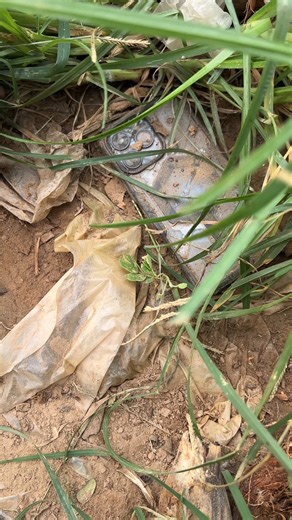 iPhone under the grass. #iphone #phone #iphone14pro #iPhone15Pro #iphone14promax #iphone16promax #iPhone15ProMax #iphone16 #reels #reelsfacebook #reelsvideo #reelsviral #reelsviralfb #reelstrending #reelsfbシ #fbreelsfypviral #vairalvideo #reelsfb #reelsinstagram #reelsviralシ | Galaxy Restore