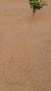 302K views · 2.7K reactions | Mini Tractor  and water  Project ll Concrete Bee #construction #waterpark #indian #bitcoin #virals #dubai #smilechallengechallenge | Concrete Bee | Facebook