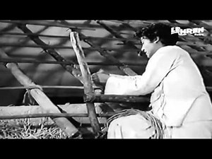 Ver Pelicula Dilwale Online Gratis