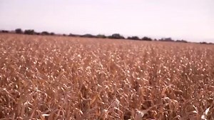 "VIENEN A CAÑADA SECA, Y LA TRIPLE FRONTERA" -La gente de Desab y los Agro Influencer! -Dicen que llegarán por la Ruta 33🤦‍♂️. -Poniendo la Biyuya que deben los Bernardi de Piedritas!😁 | Noticias en El Face.