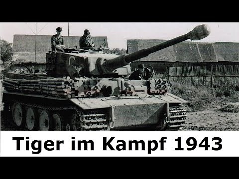 Tiger in Combat / Combat Report Heavy Panzer Battalion 503 / Kursk / Kurt Knispel