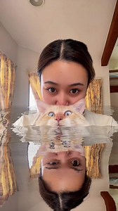 Happy Birthday Daikon Cat Compilation