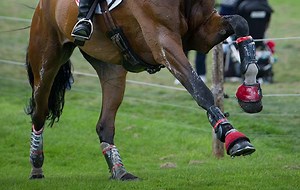 British Eventing rules 2016: test your knowledge
