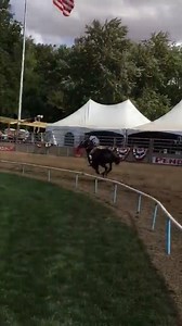 #WTF | PegaseBuzz Would you ride it ?!! Omak Express Indian Relay | Pégase Daily - 1er média Cheval, Business, Société & Art de Vivre