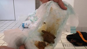 Unpaking dirty diapers part 1