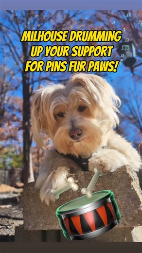 17K views · 18 reactions | Milhouse is DRUMMING up your support for...