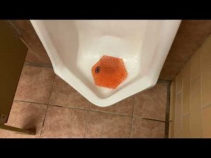 3,892. South Park Men’s Restroom
