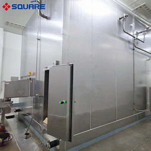 [Hot Item] Square Manufacturer Supply Frozen Vegetable Fruit Processing Line Fluidized Bed IQF Freezer